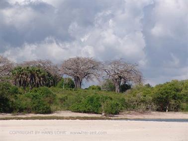 KENYA_2007,_Diani_Beach,_Southern Palms DSC06232H488